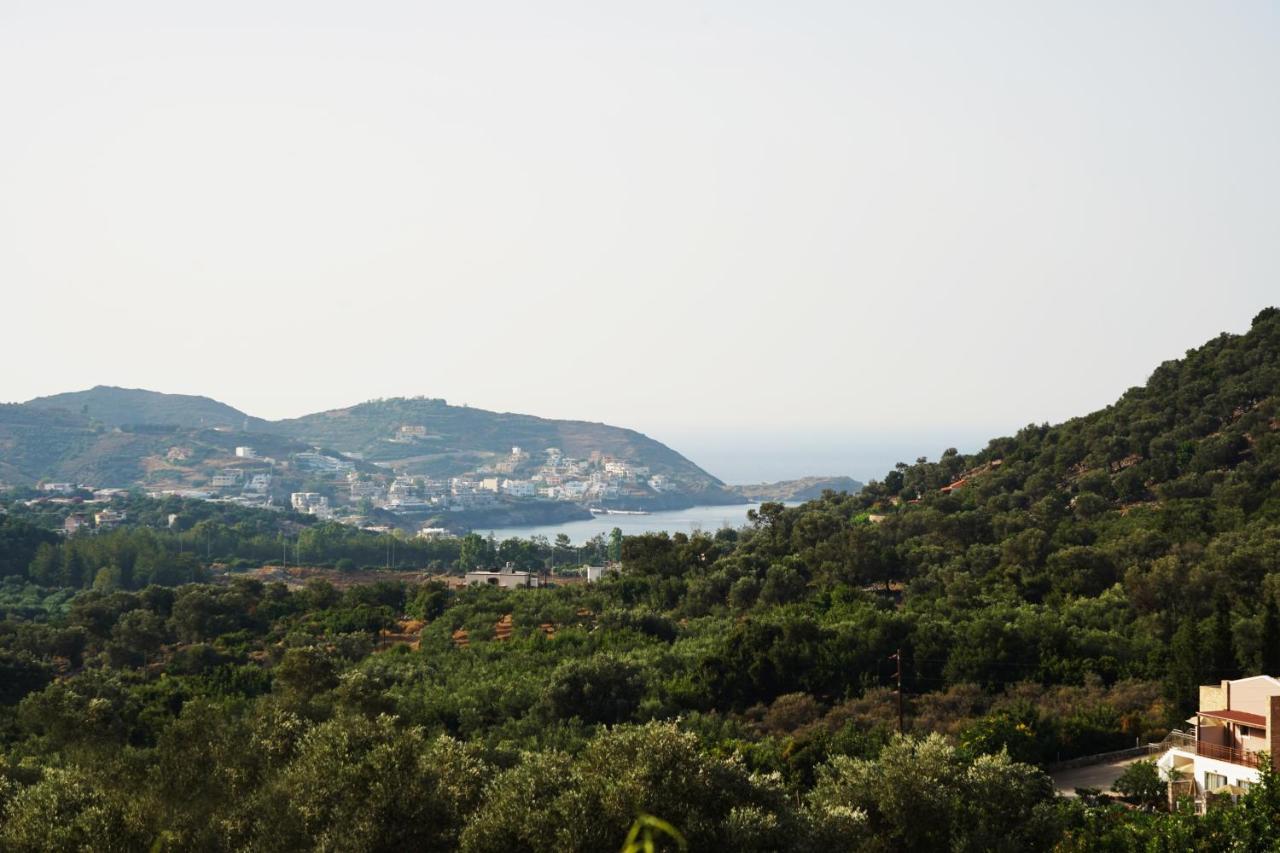 Alexandra Villa Bali  Zewnętrze zdjęcie